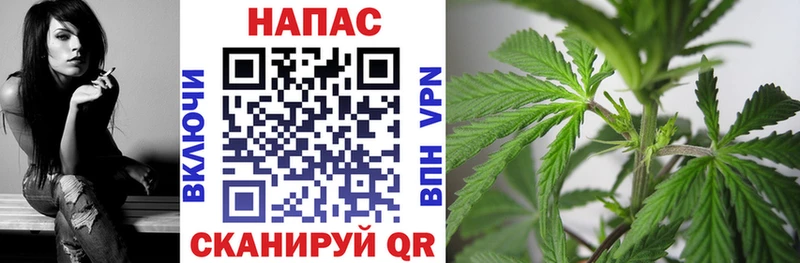 Наркошоп купить МАРИХУАНА Кокаин Амфетамин Галлюциногенные грибы ГАШИШ Alpha-PVP Меф Дно